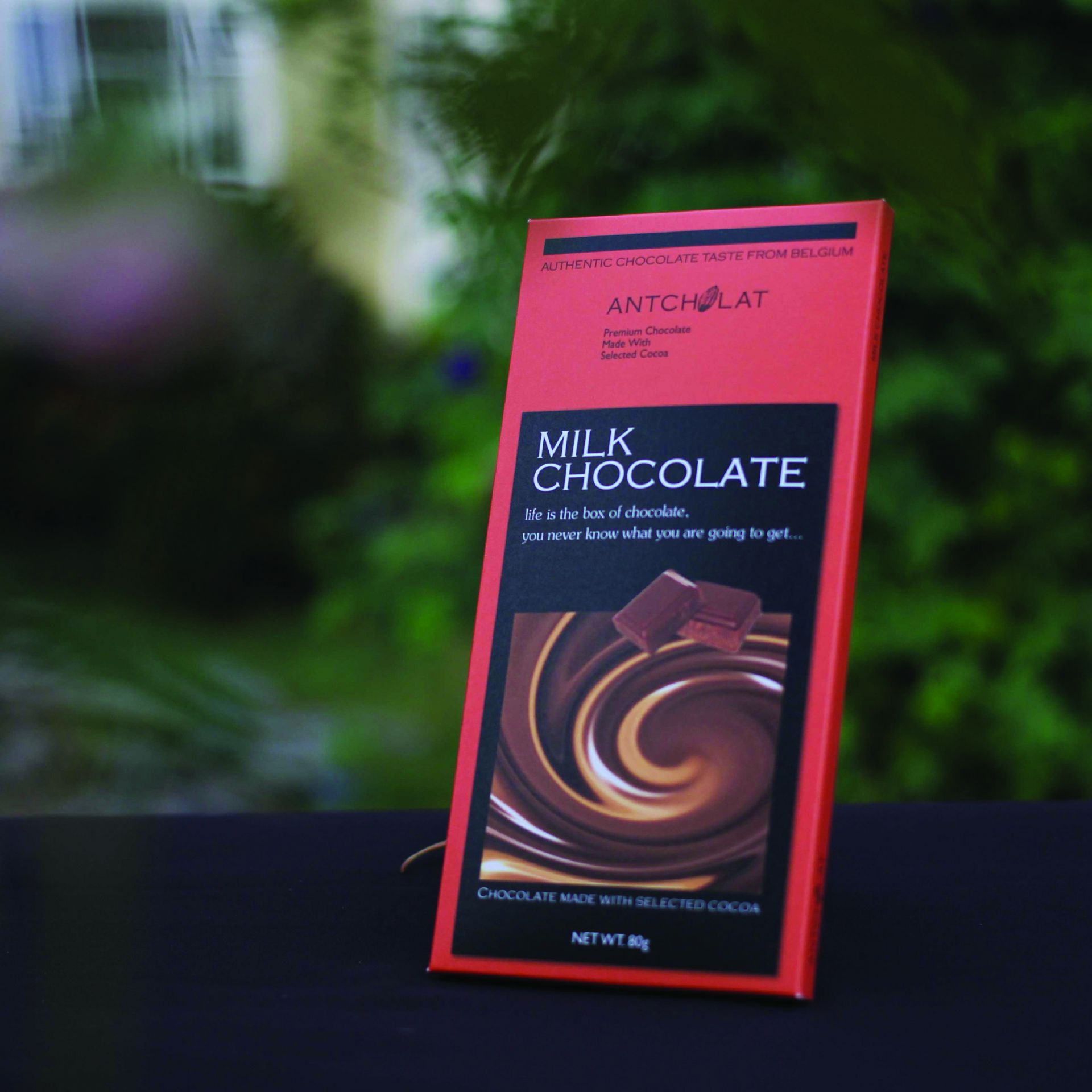 Milk Chocolate Antcholat