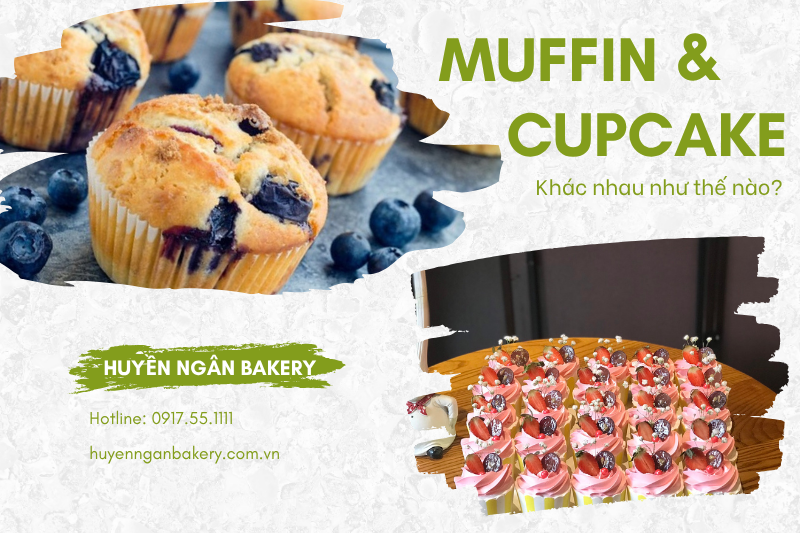 Muffin và Cupcake là gì? Cách phân biệt bánh Muffin và Cupcake