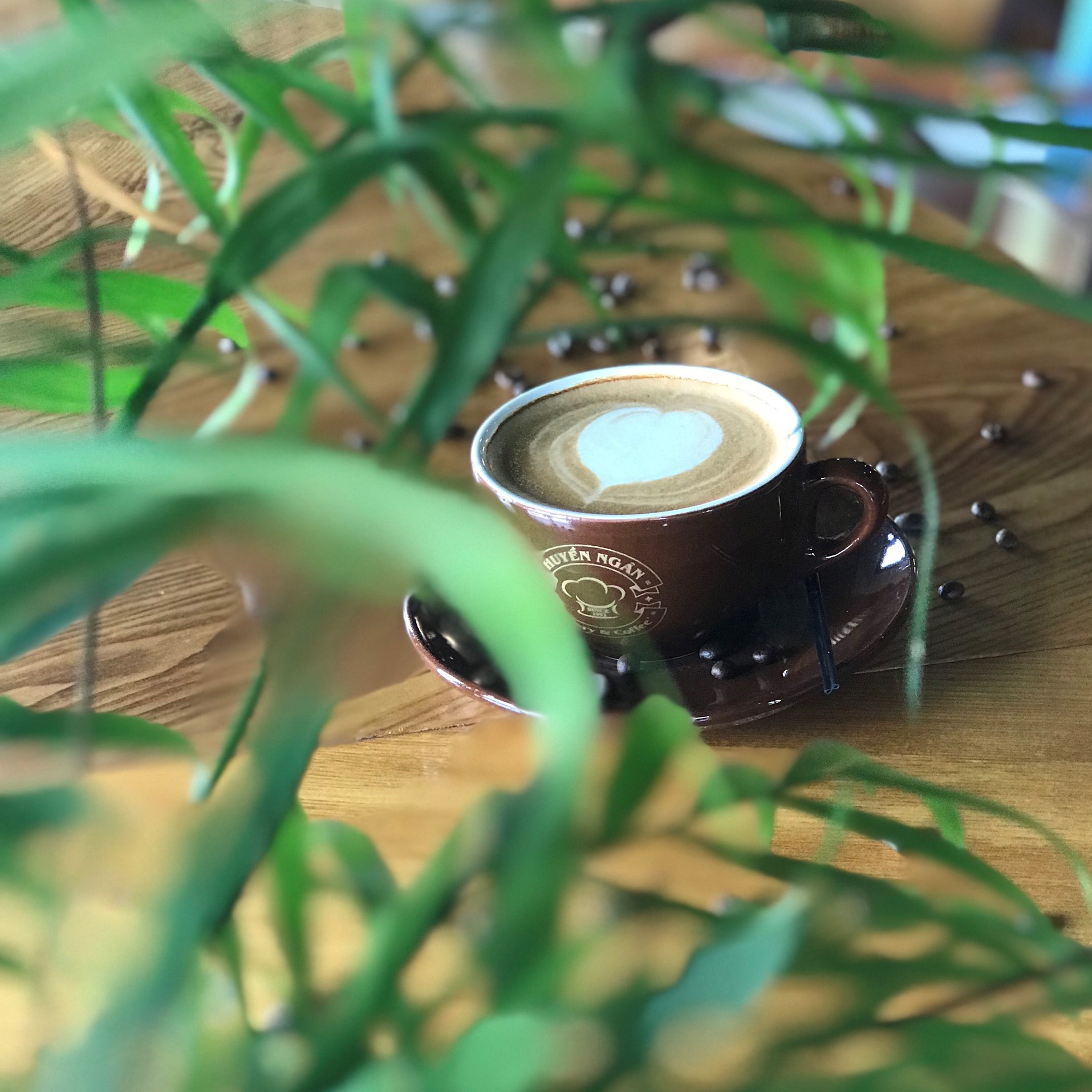 Latte ( Espresso sữa tươi )